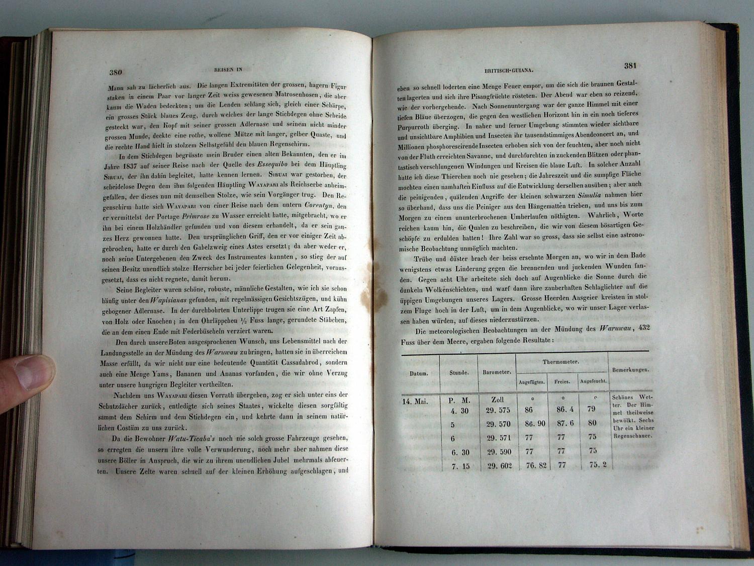 ZZ-RISC48,S.380 Feder-Ohr-Stecker Wapisiana